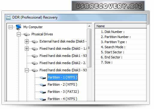 Screenshot of USB Recovery