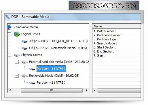 Screenshot of Flash Media Recovery Software