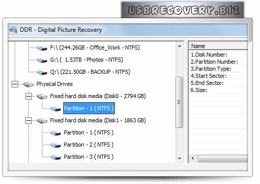 Digital Photo Recovery Program